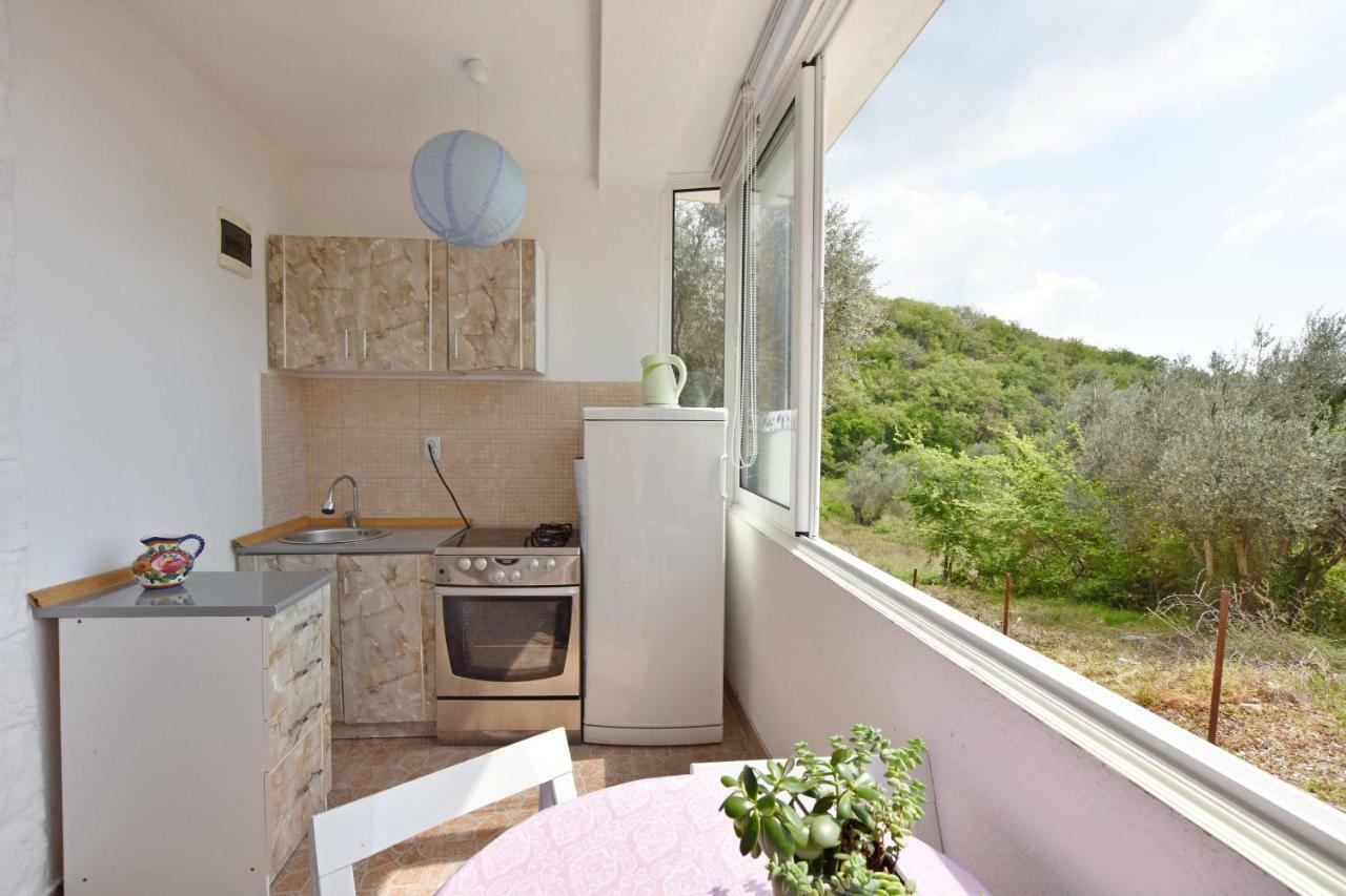 Apartments Siljak Petrovac 部屋 写真